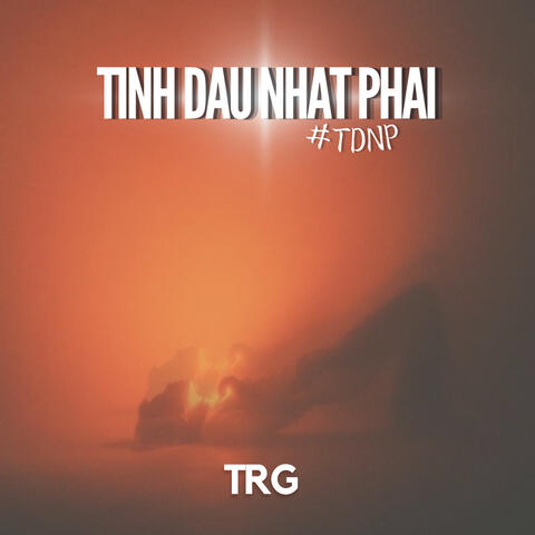 T.D.n.P(Tinhdaunhatphai)
