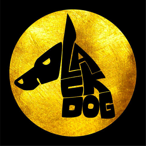 Black Dog