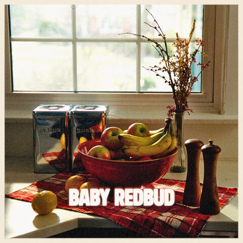 Baby Redbud