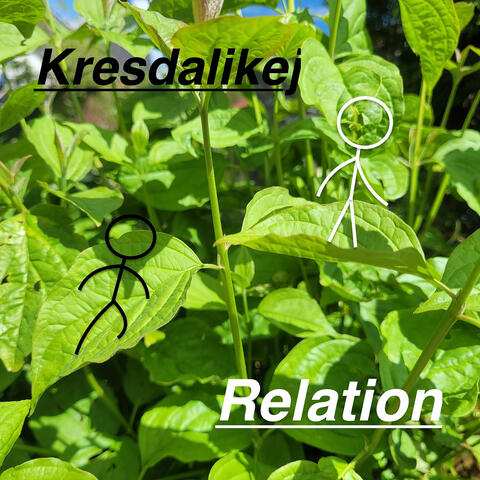 Relation