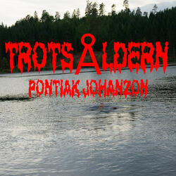 Utsättarens Vardag