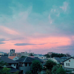 Back in Tokyo
