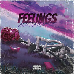 Feelings