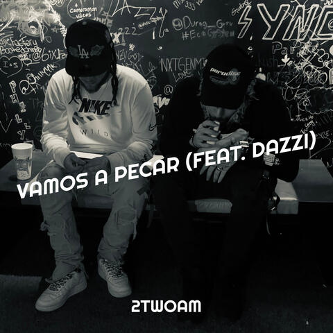 Vamos a Pecar