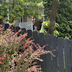 I'd Get Along With My Neighbors
