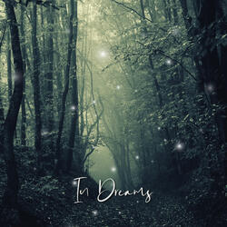 In Dreams