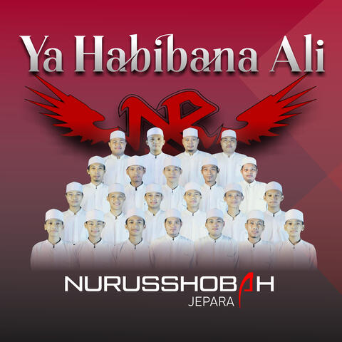 Ya Habibana Ali