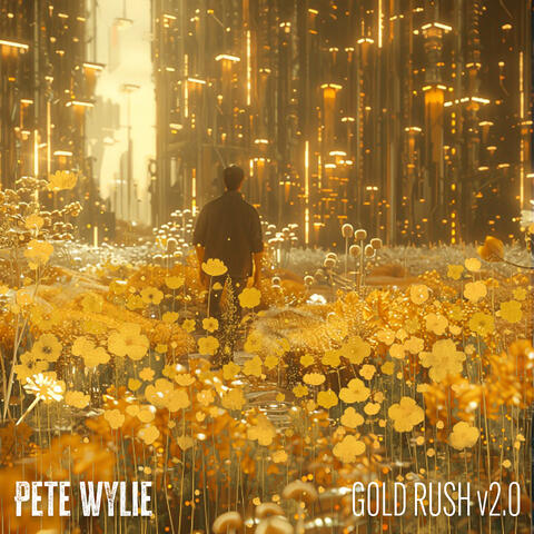 Gold Rush V2.0