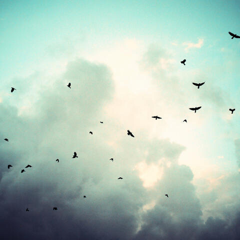 Sense of Time
