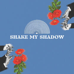Shake My Shadow