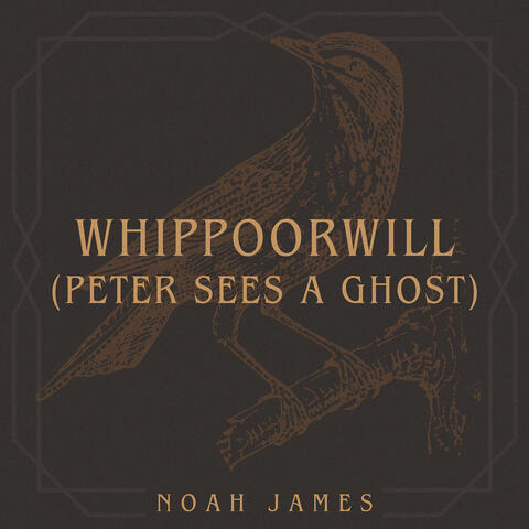Whippoorwill (Peter Sees a Ghost) (Live)