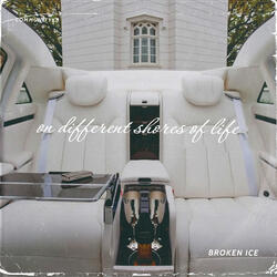 On Different Shores of Life