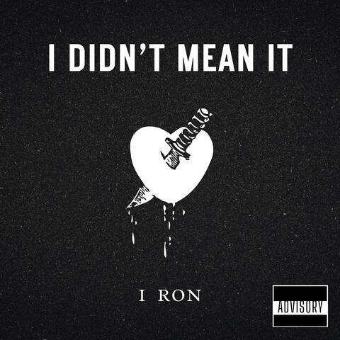 I Didn't Mean It