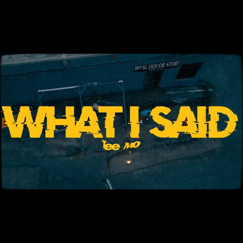What I Said