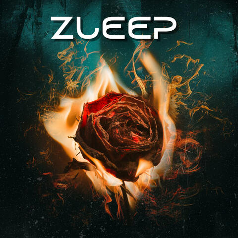 Zleep