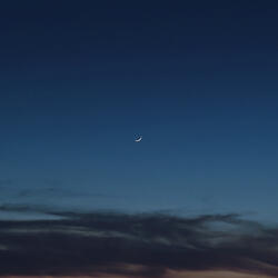 Moonlight