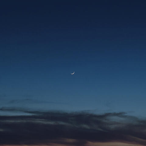 Moonlight