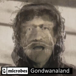 Gondwanaland