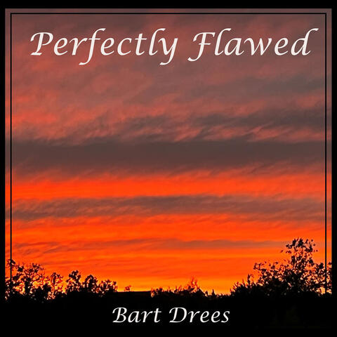 Perfectly Flawed