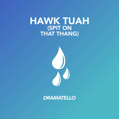 Hawk Tuah (Spit on That Thang)
