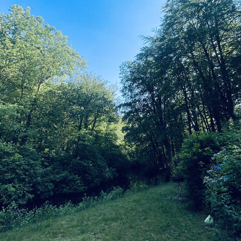 Summer