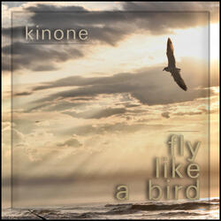 Fly Like a Bird