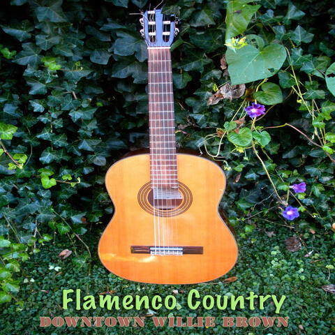 Flamenco Country
