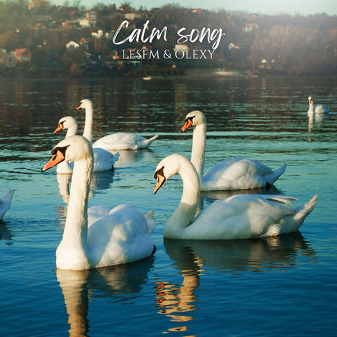 Calm Song