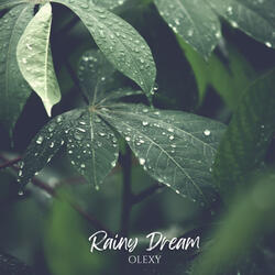 Rainy Dream