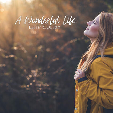 A Wonderful Life