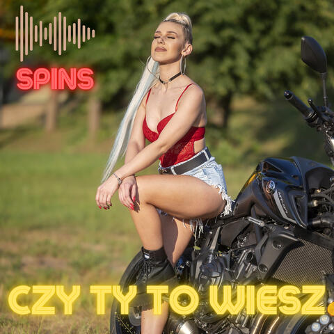 The Spins