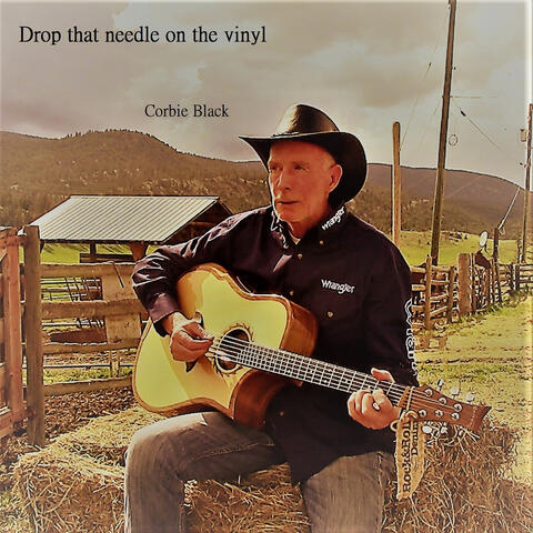 Drop That Needle on the Vinyl