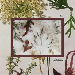 Music to Water Plants To