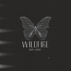 Wildfire