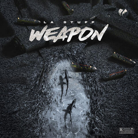 Weapon