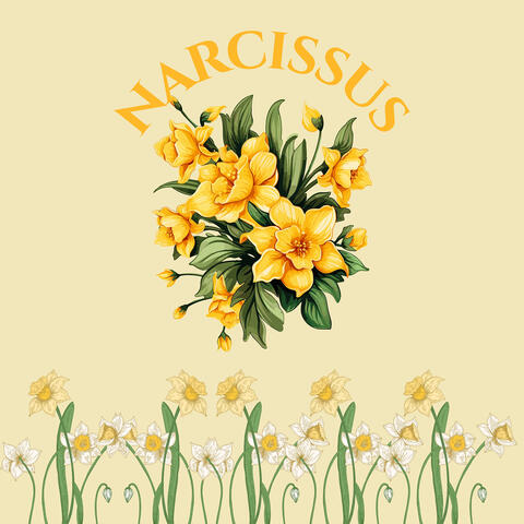 Narcissus