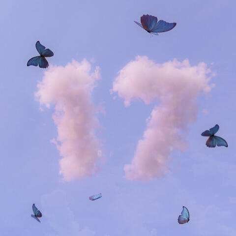 17