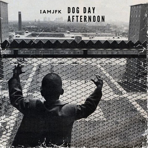Dog Day Afternoon