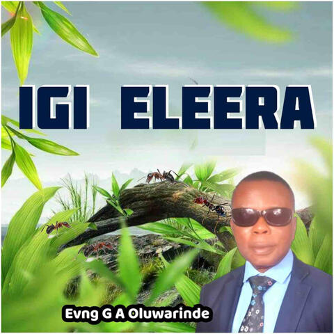 Igi Eleera