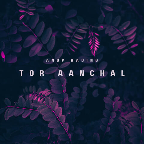 Tor Aanchal