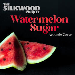 Watermelon Sugar (Acoustic Cover)