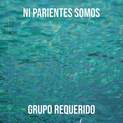 Ni Parientes Somos