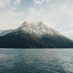 Forest Humming (Sped Up)