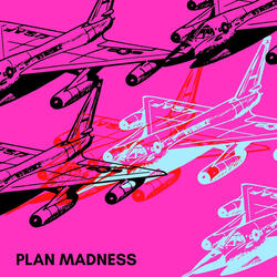 PLAN MADNESS