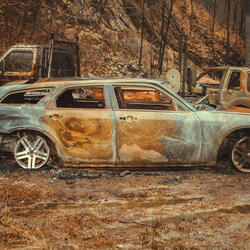 Cuz You Gotta Survive