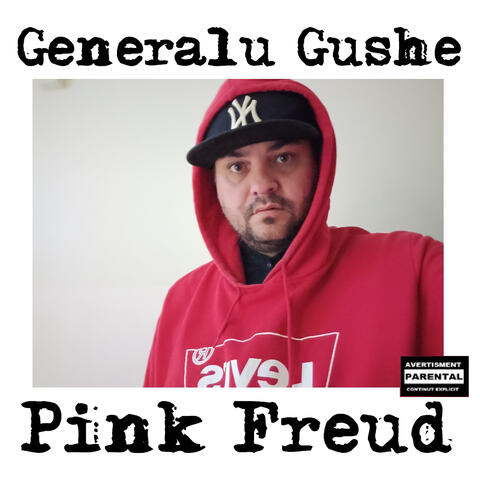 Pink Freud