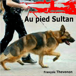 Au pied Sultan