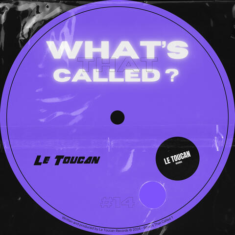 What's That Called (Extended Mix)