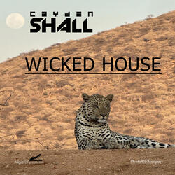 Wicked House