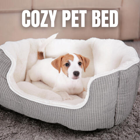 Cozy Pet Bed